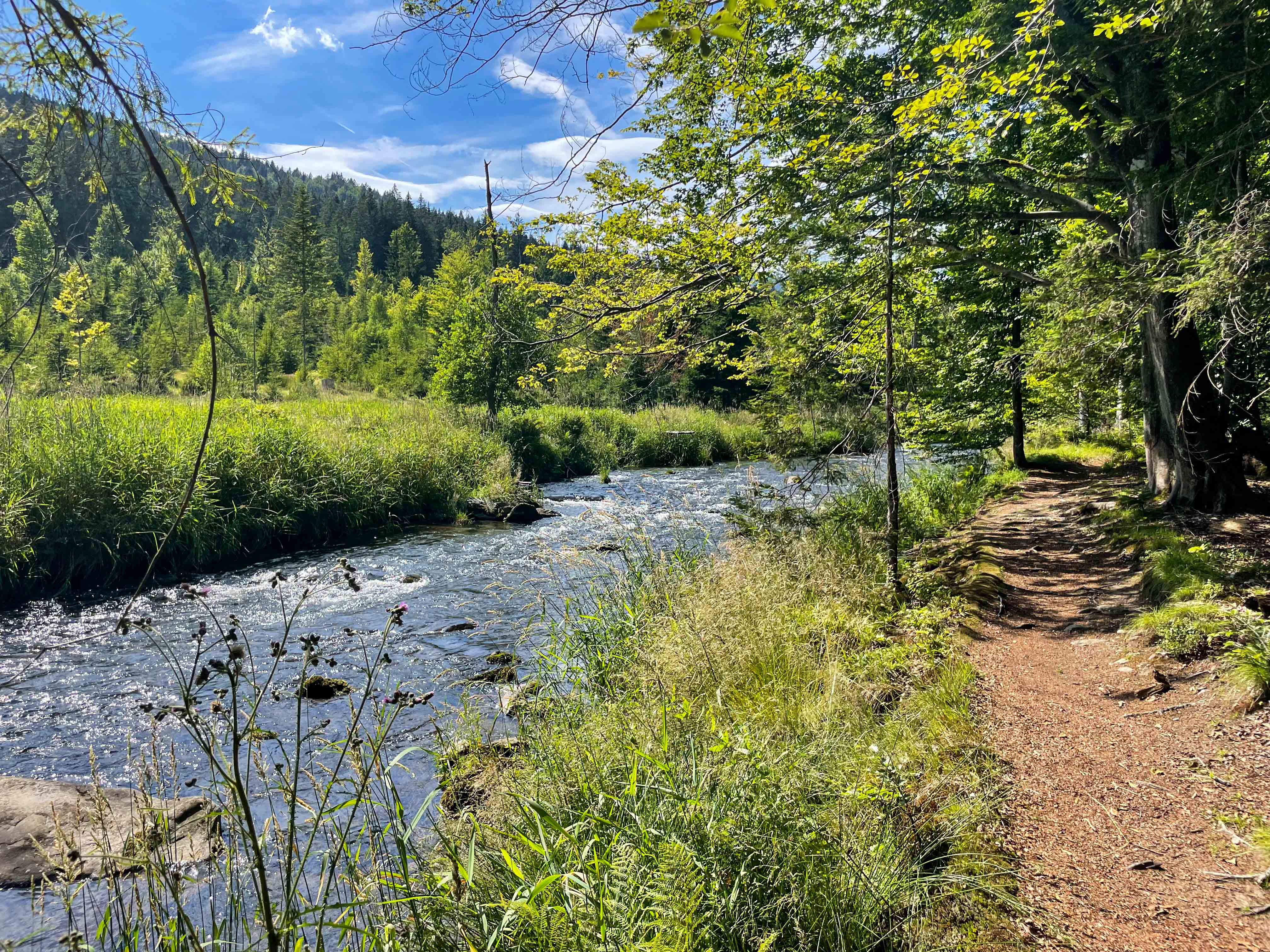 Der malerische Flusswanderweg nach Bayerisch Eisenstein steht zur Wahl zum schönsten Wanderweg Deutschlands. (Foto: Sandra Schrönghammer/Nationalpark Bayerischer Wald)