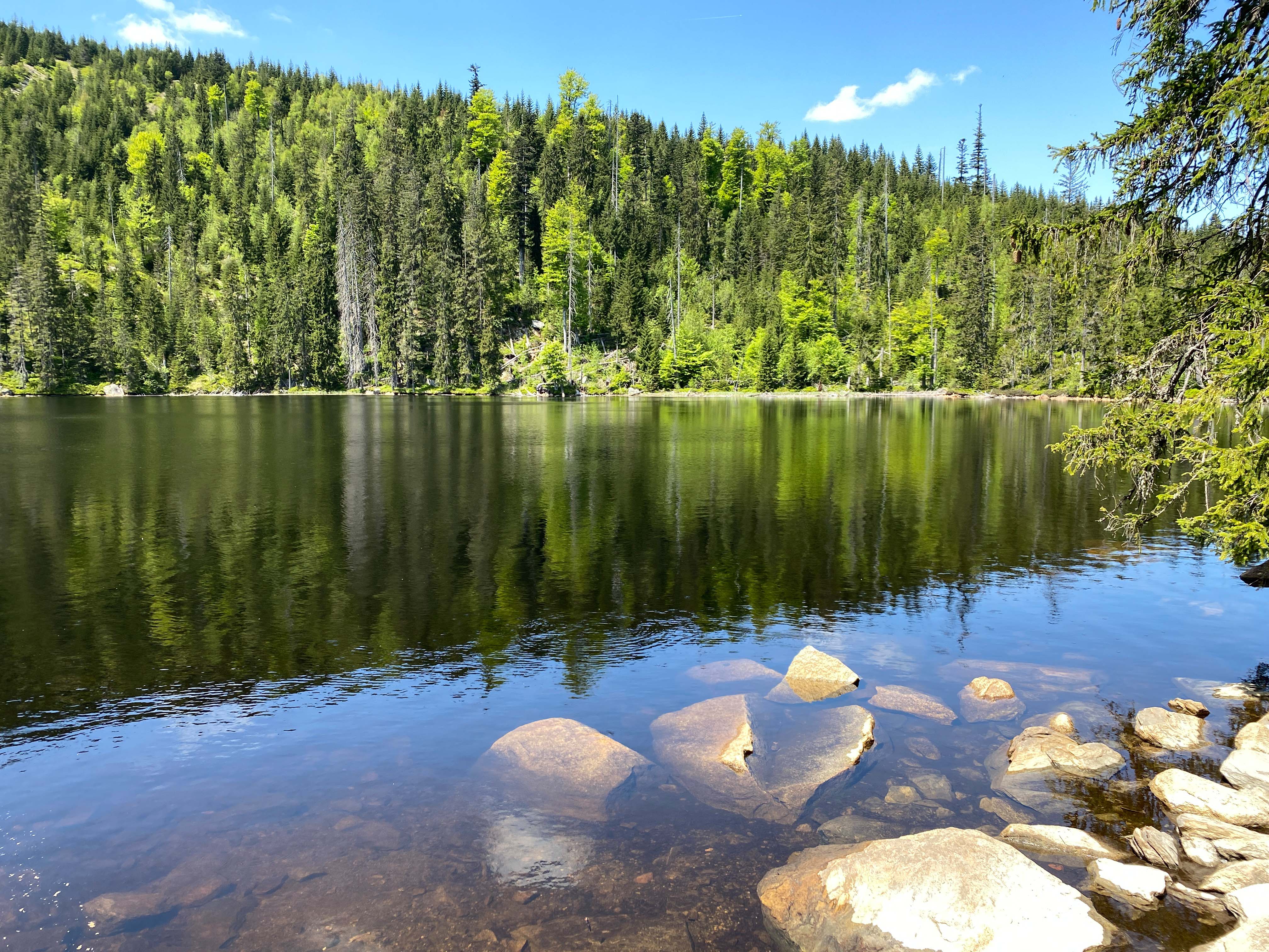 Eines der reizvollen Ziele der grenzüberschreitenden Radtour ist der Stubenbacher See. (Foto: Peter Auerbeck/Nationalpark Bayerischer Wald)
