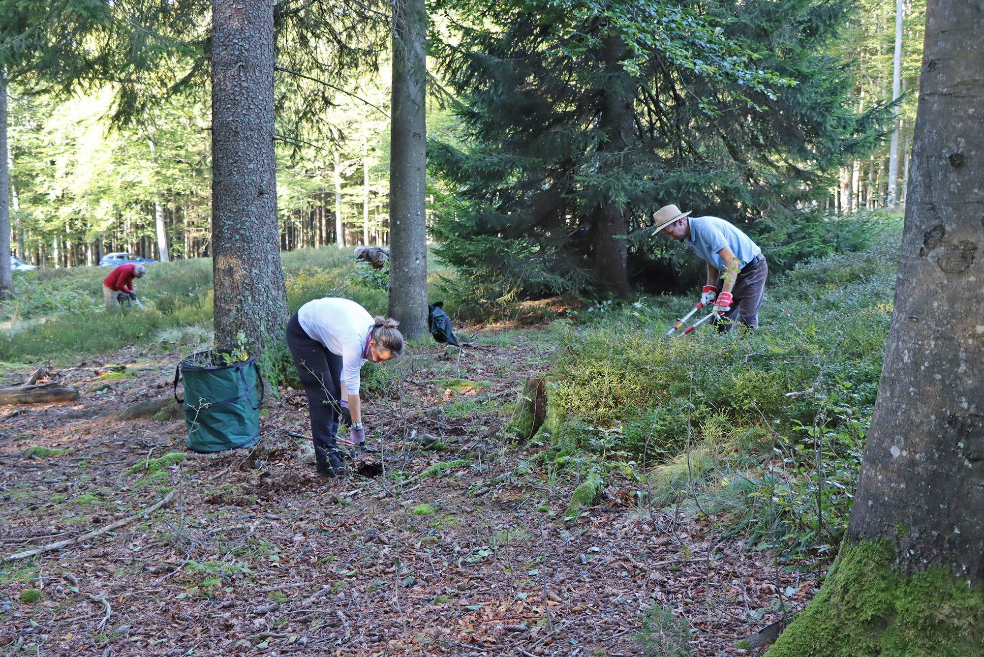 Mit allerlei Werkzeug ausgestattet gingen die Helfer hereindrängendem Baumbewuchs und sich ausbreitenden Heidelbeeren an den Kragen.
