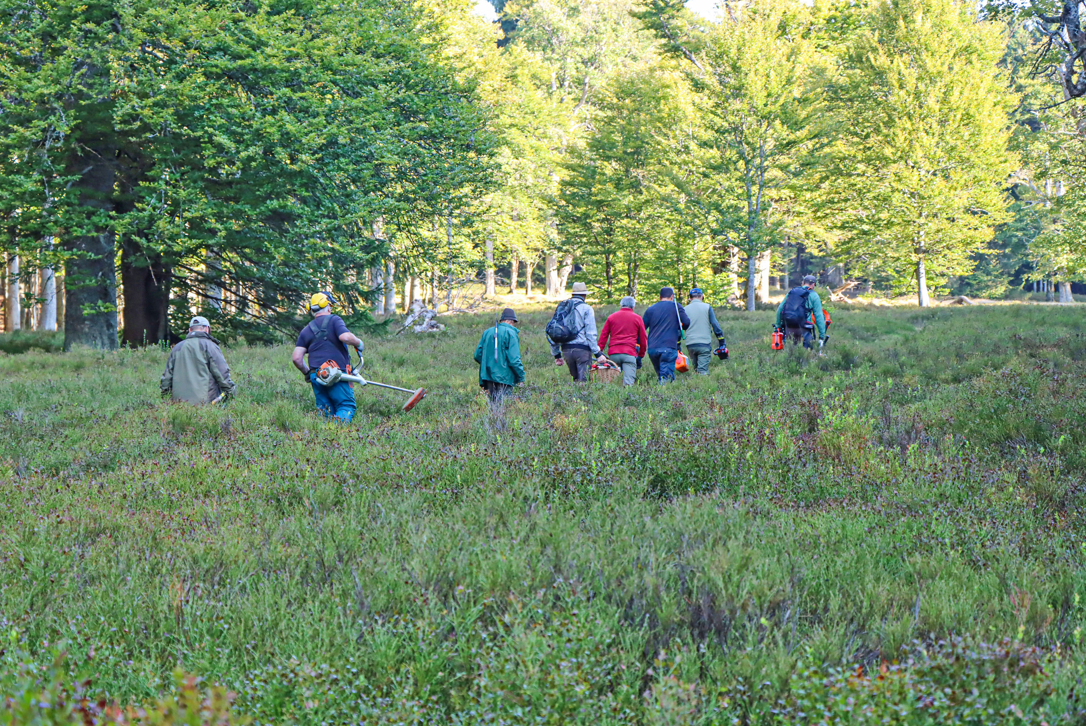 Gemeinsames Engagement für die Perlen im Waldmeer ist bei der Schachtenpflege-Aktion gefragt. (Foto: Gregor Wolf/Nationalpark Bayerischer Wald)
