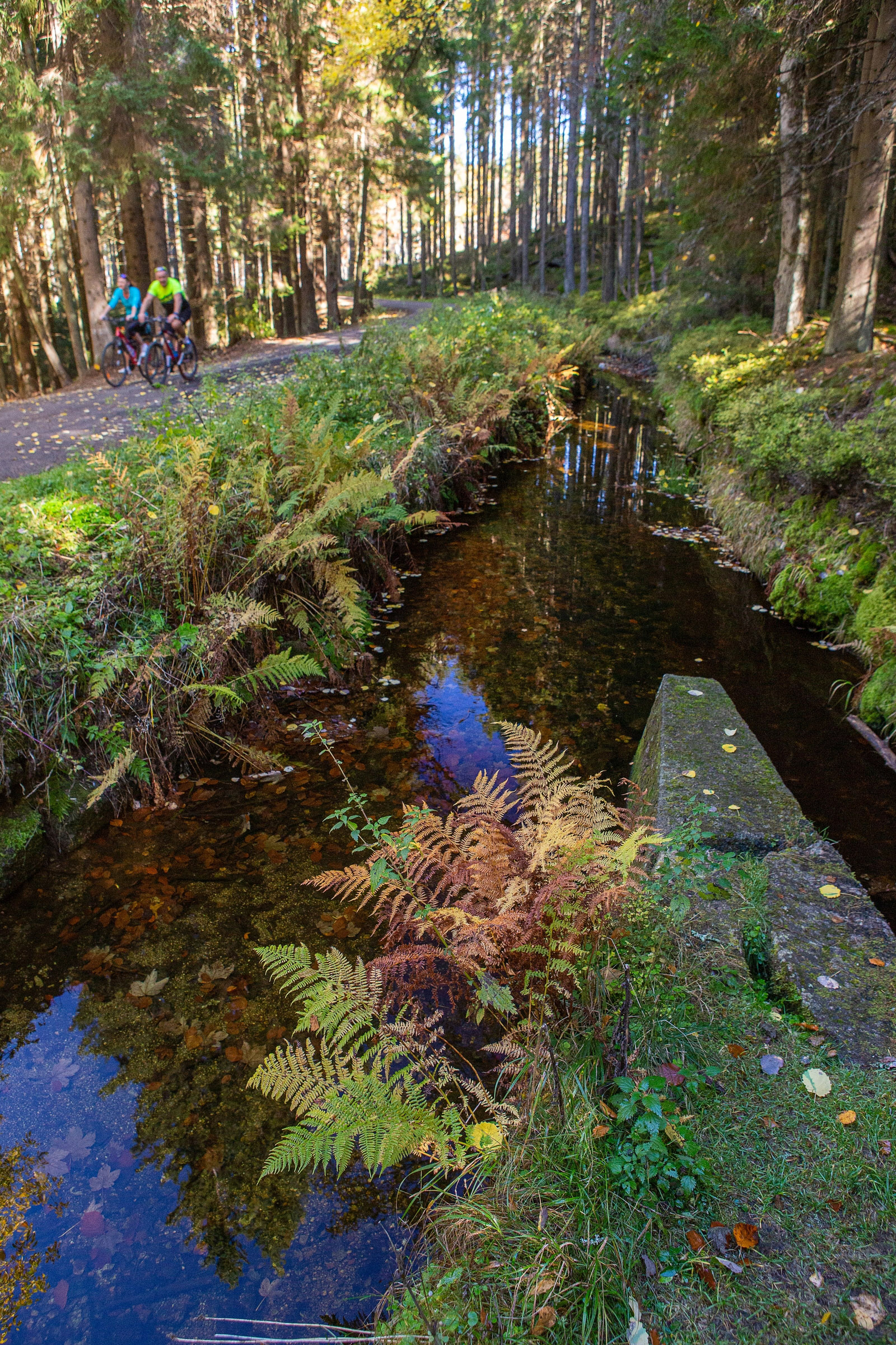 Entlang des Schwarzenberger Schwemmkanals führt die Radtour zum Plöckensteinsee. (Foto: Stephan Rosenkranz/Nationalpark Bayerischer Wald)