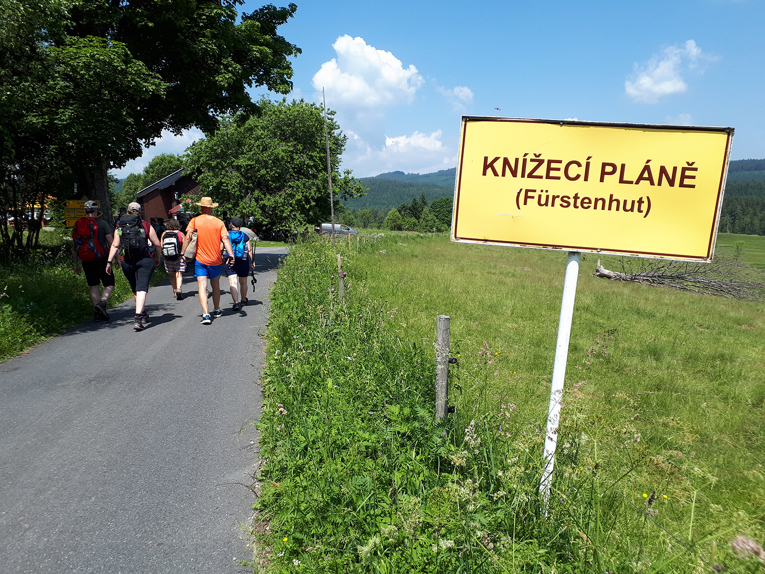 Die Führung am 20. September verläuft von Buchwald bis nach Fürstenhut. (Foto: Annette Nigl /Nationalpark Bayerischer Wald)