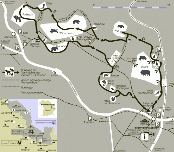 Tier-Freigelände im Nationalpark Bayerischer Wald