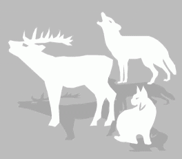 Logo des Tier-Freigeländes im Nationalpark Bayerischer Wald