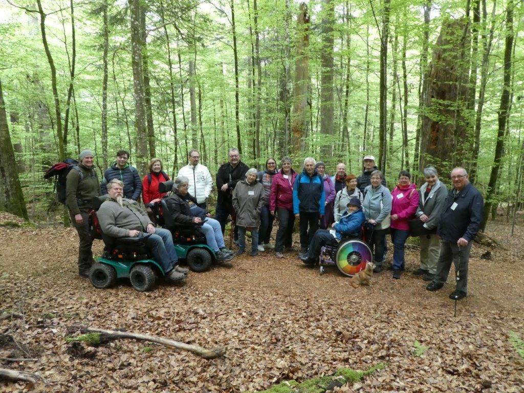 it geländegängigen Rollstühlen konnten die Teilnehmer am Seminar des Aphasie Landesverbandes die Nationalpark-Natur rund um das Wildniscamp entdecken. (Foto: Gaby Auer)