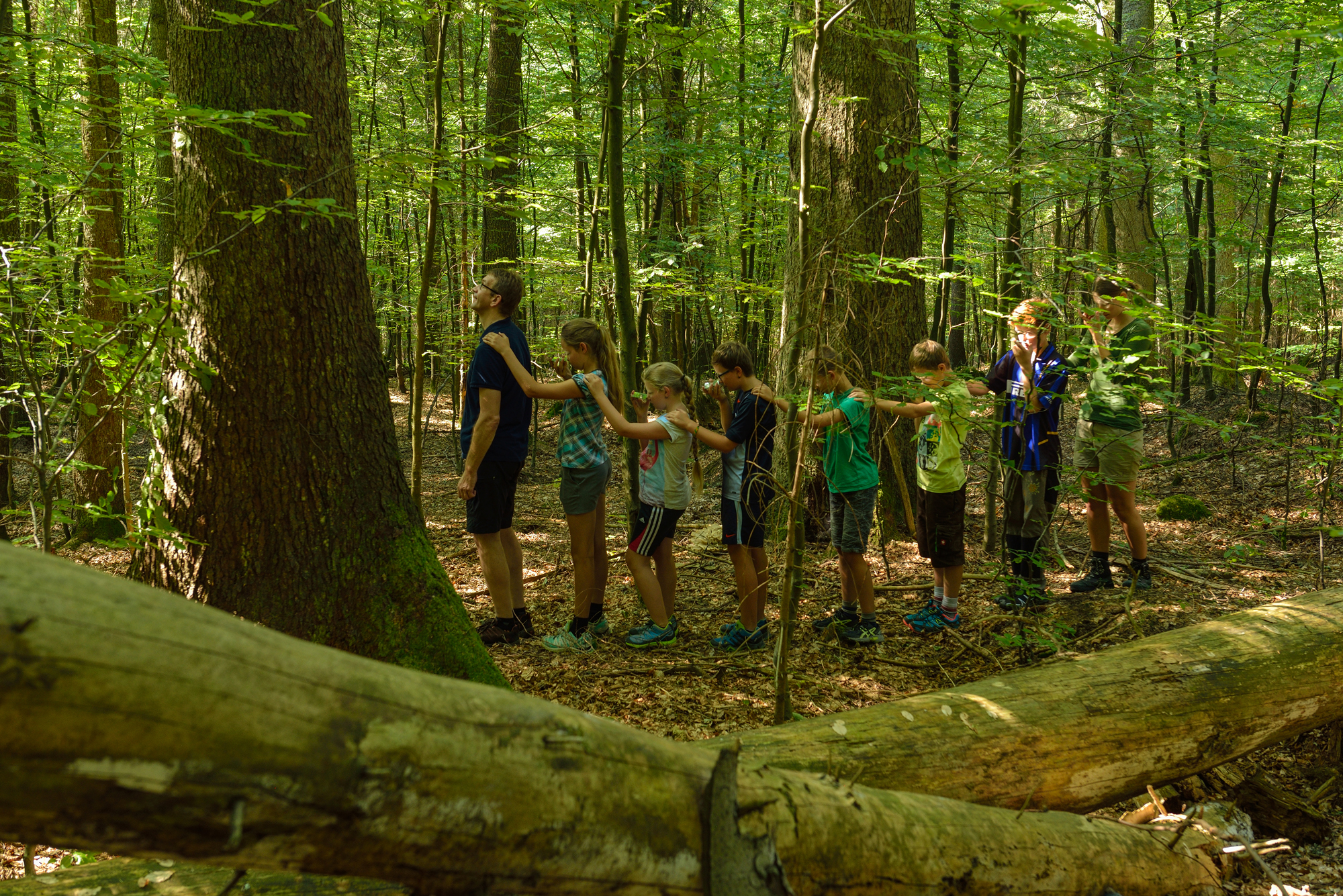 Beim Kinderprogramm des Nationalparks kann gemeinsam der Wald erkundet werden. (Foto: Thomas Michler/Nationalpark Bayerischer Wald­) 