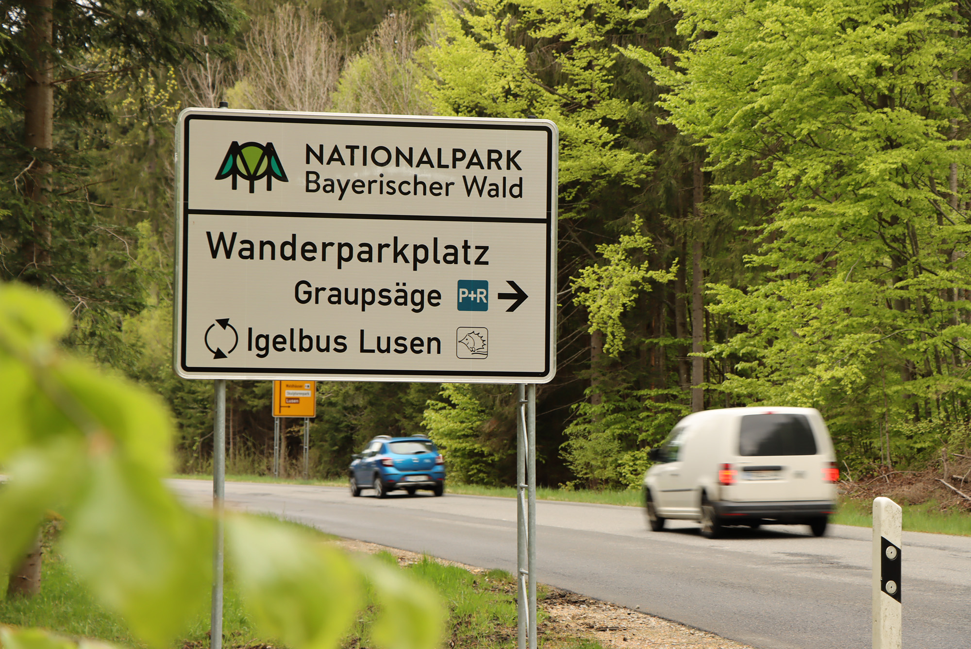 Eine der Stellflächen, die mit der Sensorik ausgestattet werden, ist der P+R-Parkplatz Graupsäge an der Nationalparkstraße. (Foto: Nationalpark Bayerischer Wald)