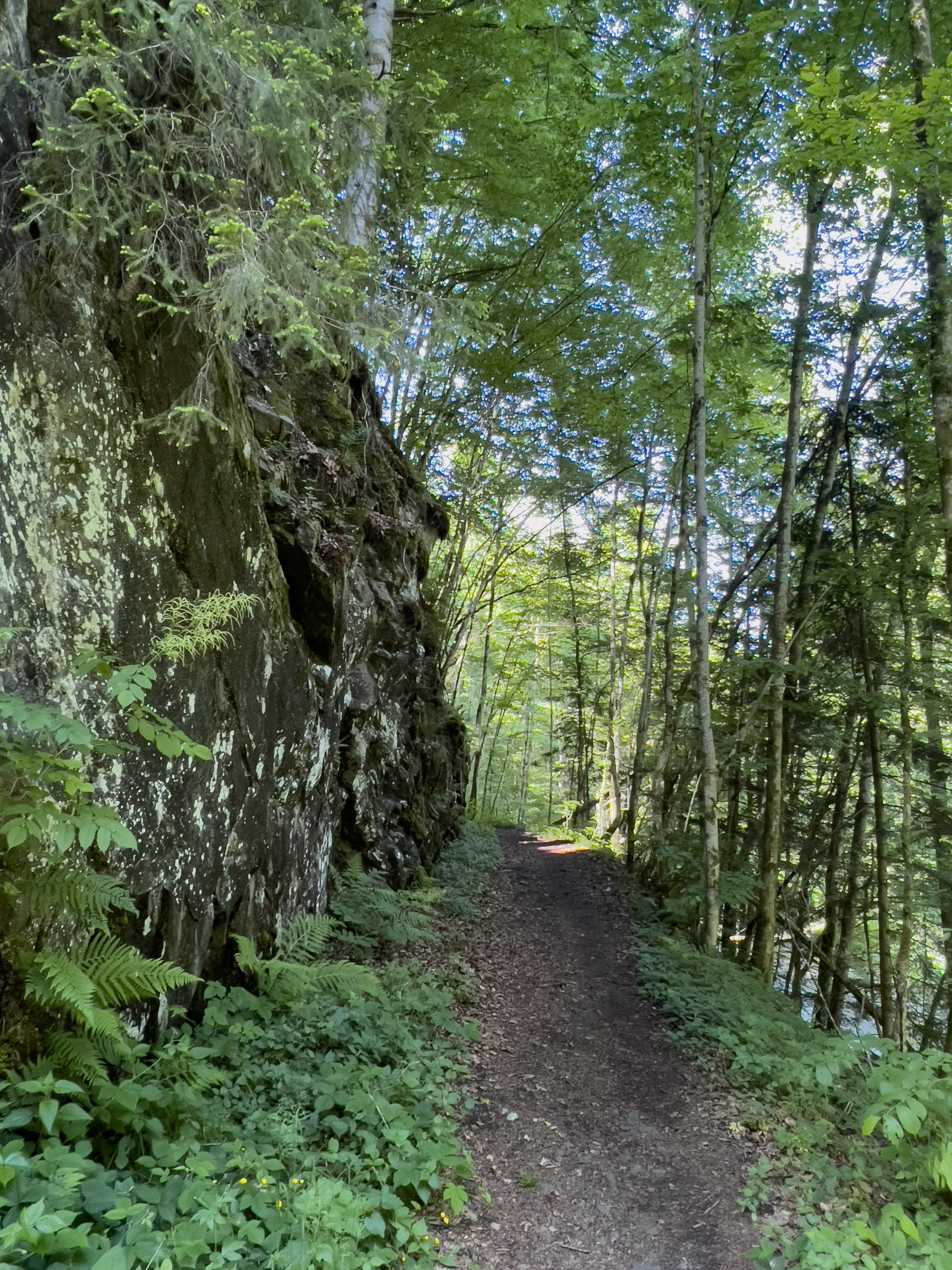 Wanderweg Wanderweg