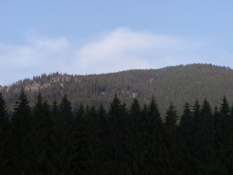 der Falkenstein vom Wildniscamp bei Zwiesler Waldhaus aus